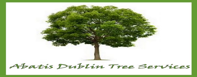 Tree pruning and trimming in the Dublin Area | Abatis Dublin Tree Services.
