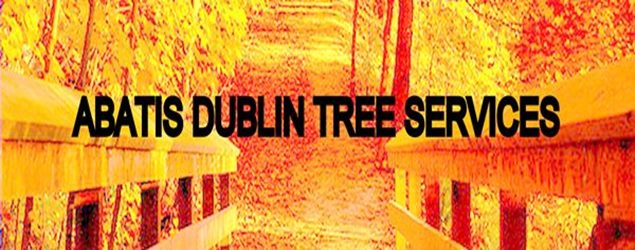 Hedge trimming | Dublin tree company Abatis